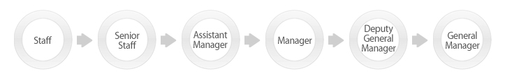 Staff  →  Senior Staff  →  Assistant Manager →  Manager  →  Deputy General Manager → General Manager